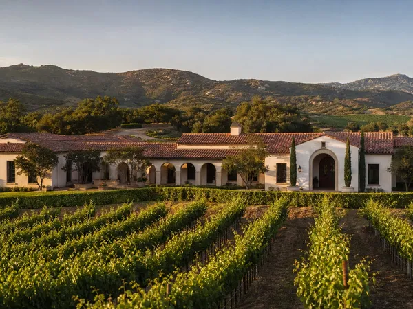 Wine Country / De Luz