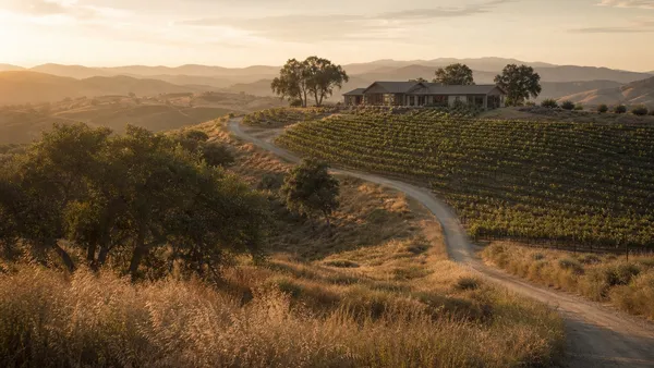 Wine Country / De Luz